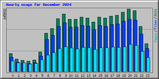 Hourly usage for December 2024