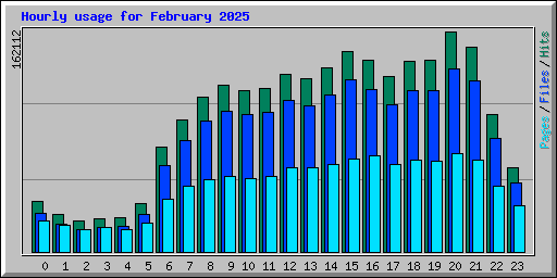 Hourly usage for February 2025