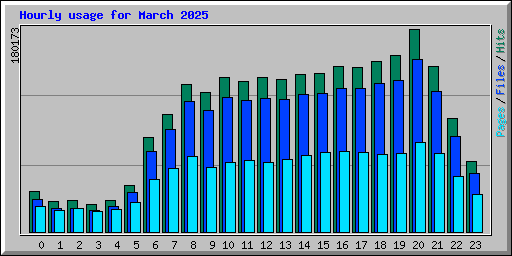 Hourly usage for March 2025