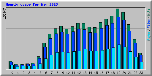 Hourly usage for May 2025
