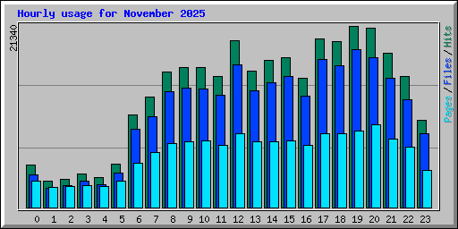 Hourly usage for November 2025
