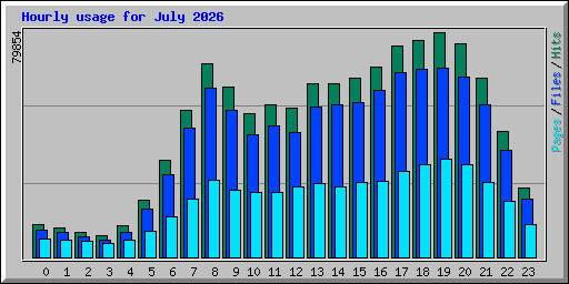 Hourly usage for July 2026