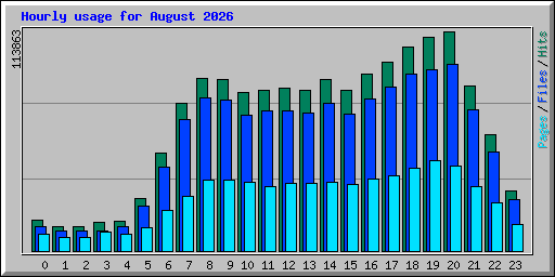 Hourly usage for August 2026